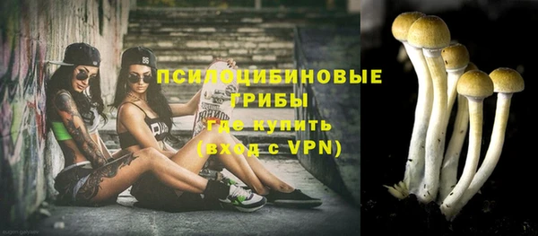 тгк Алзамай