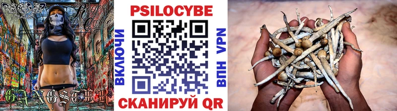 Галлюциногенные грибы MAGIC MUSHROOMS  как найти наркотики  Псков 